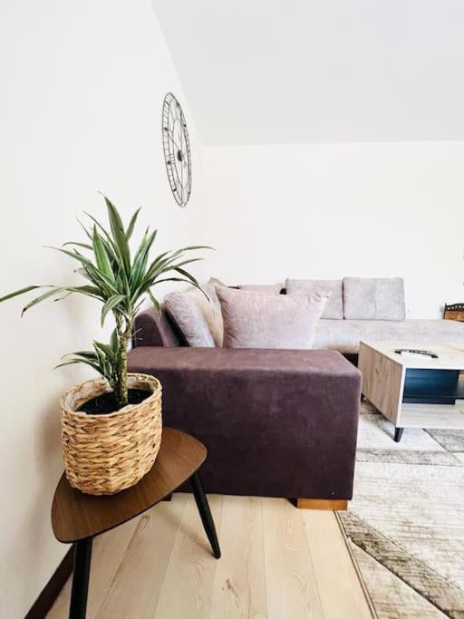 Apartment Family Near The Airport And The Tivat